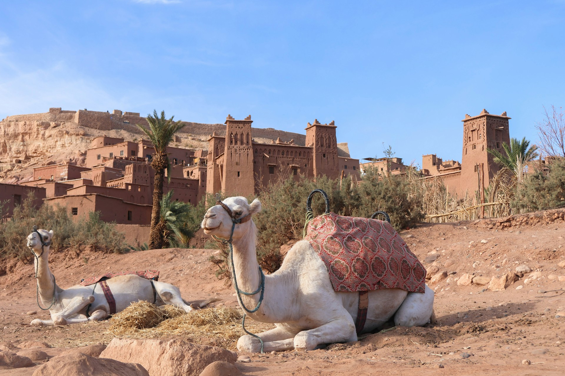 2 Days Desert tour from Ouarzazate to Merzouga & Fes